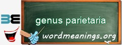 WordMeaning blackboard for genus parietaria